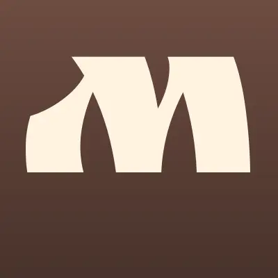 Мега бум, магазинов по продаже салютов, фейерверков и пиротехнической продукции, лого-визитка